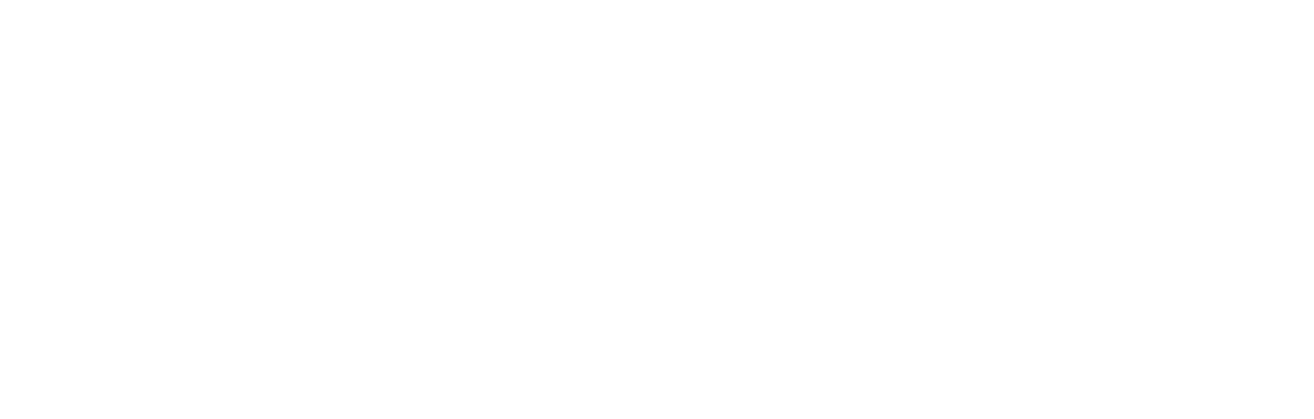 CIJ Digital Hub Logistics Ltd